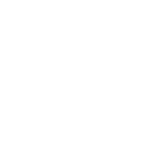 logo light